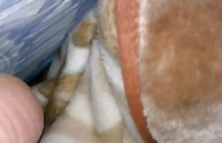 XXX چاق و چله استمناء فیلم سگسی باحال